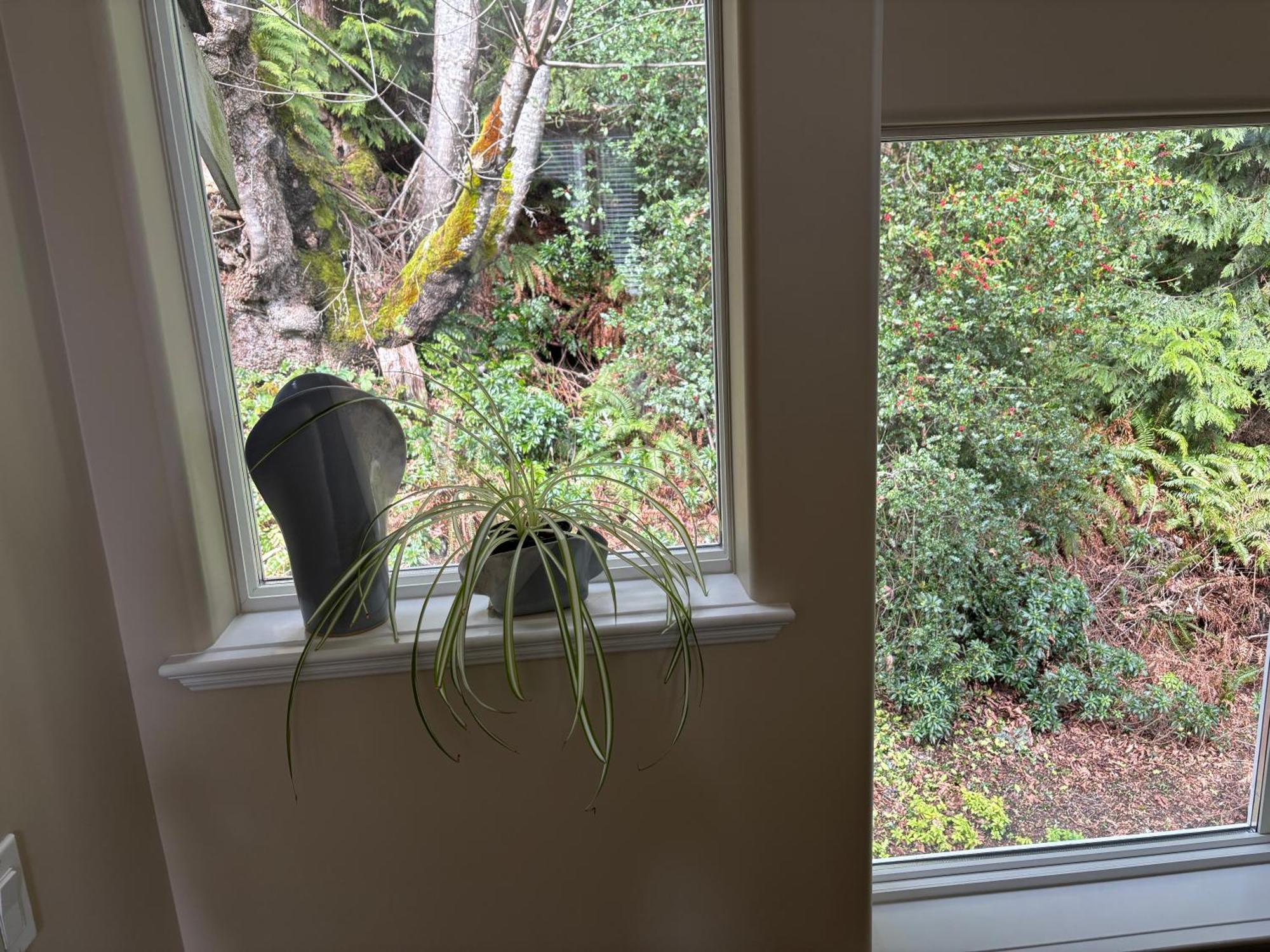 Sea And Cedar Retreat-A Home In A Tranquil Setting Cowichan Bay Eksteriør billede
